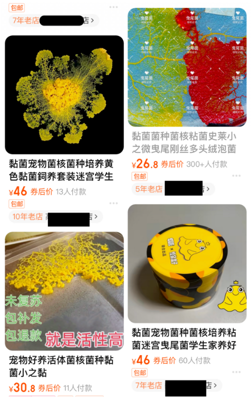 突然火了!孩子把黏糊糊的它当宠物养,家长懵了……