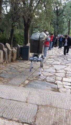 山东一只“机器狗”火遍全网！确实厉害→