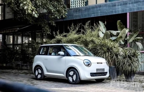 老头乐电动车即将走向“灭亡” 腾出来的“蛋糕”该怎么分?(图7) 老头乐电动车即将走向“灭亡” 腾出来的“蛋糕”该怎么分?(图7)