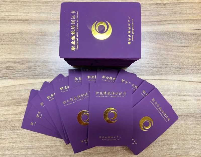 利亚德学习发展中心创新发展 为职业技能培训与认证合作开辟新路径(图1) 利亚德学习发展中心创新发展 为职业技能培训与认证合作开辟新路径(图1)